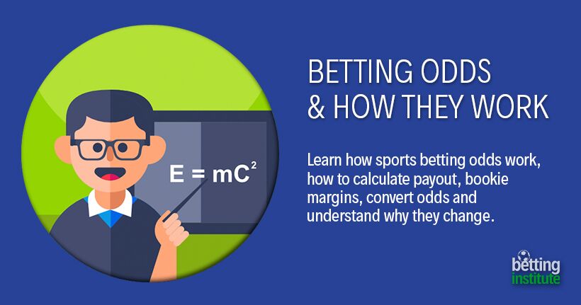 The Best 5 Examples Of Your Premier Online Betting Destination